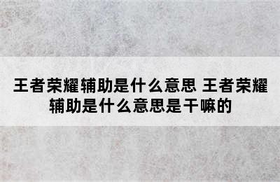 王者荣耀辅助是什么意思 王者荣耀辅助是什么意思是干嘛的